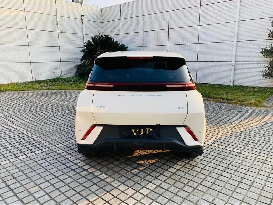 Byd Seagull 2024 Honor Edition 305km Free Edition Electric Car New Energy Vehicles