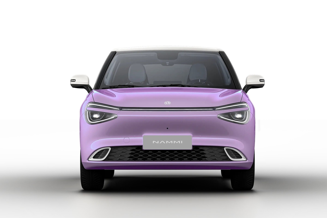 2024 New Arrival Small Electric Vehicle EV Dongfeng box Nammi 01 330km RHD Nano 01 with Warranty Right Hand Drive Car
